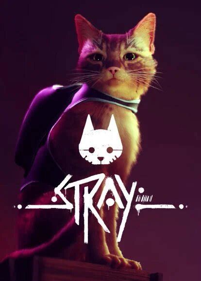 chat gratuit|Test de Stray par jeuxvideo.com